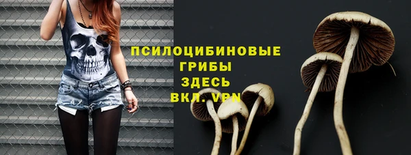 хмурый Абаза