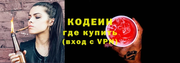 хмурый Абаза