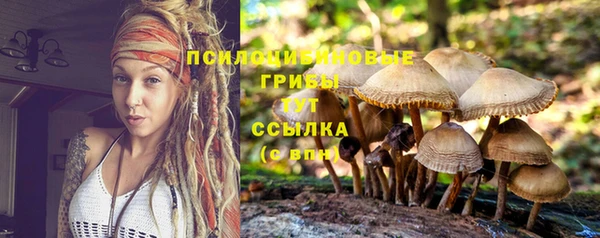 хмурый Абаза