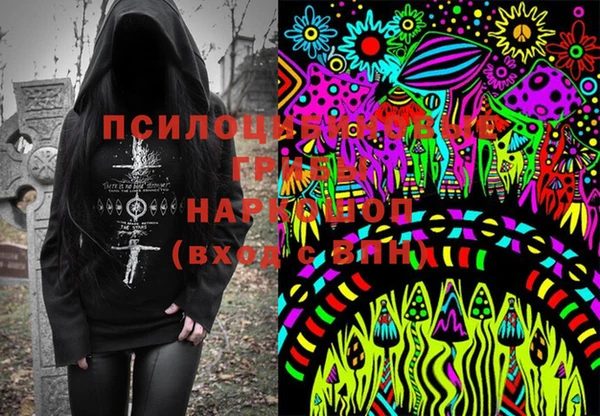 молекула духа Алзамай