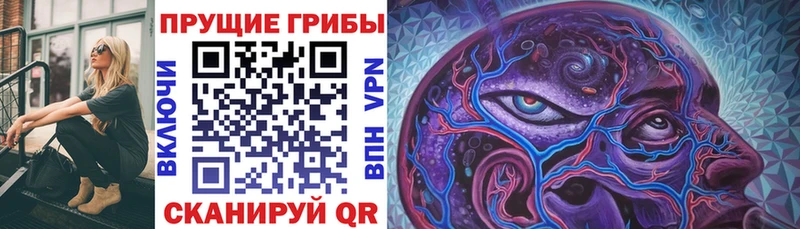 Галлюциногенные грибы ЛСД  Нерехта 